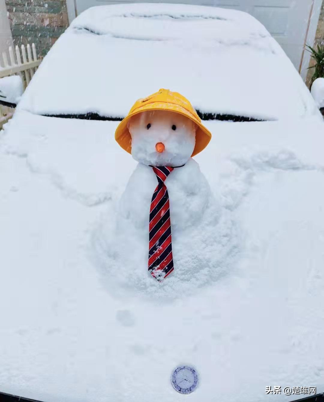 堆雪人创意大赛活动方案,堆雪人大赛活动