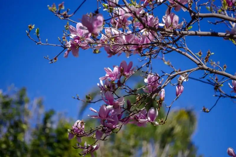 宾得新款16-50评测,宾得镜头18-135样片测评