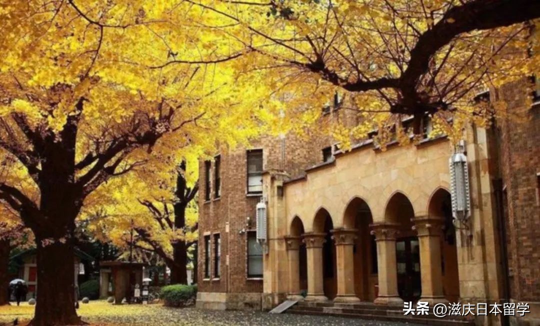 致想去日本留学实现梦想的你,高中毕业去日本留学学护理