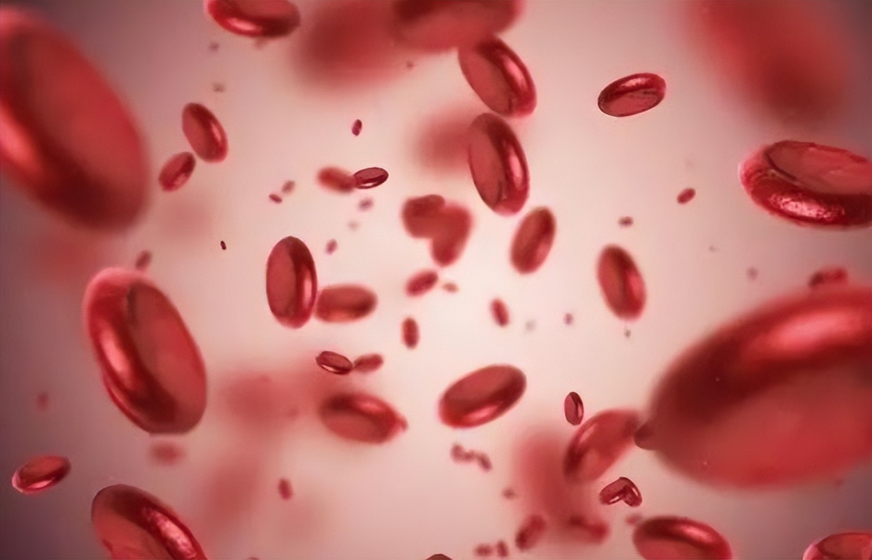 红糖红枣枸杞银耳鸡蛋补血吗,桂圆红枣红糖和什么补气补血