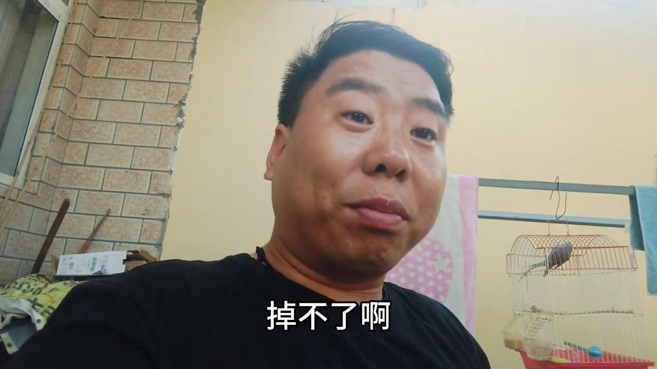 电话卡被停机了怎么办,电话卡被停机了可以恢复几次