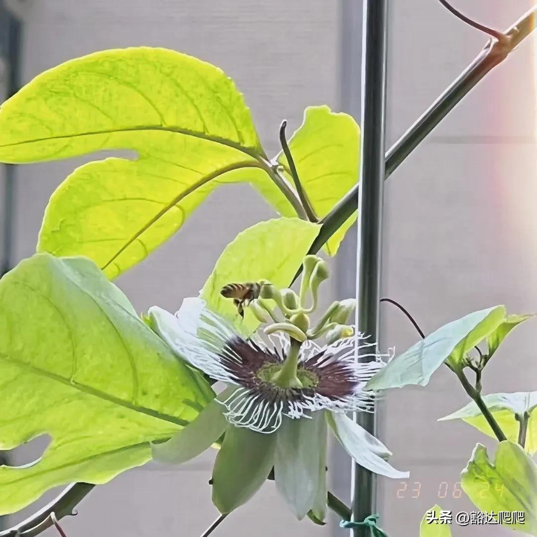 初二如何安排学习时间,初一至初二暑假安排