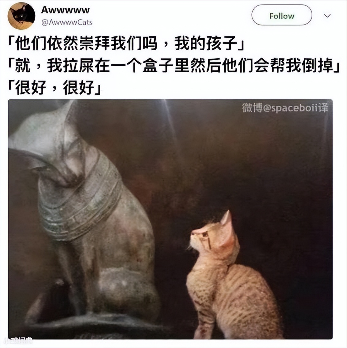 每个铲屎官都应该知道的小妙招,教各位铲屎官一个生活小妙招