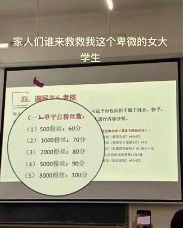 我真的很好奇原版,我真的很好奇男生版