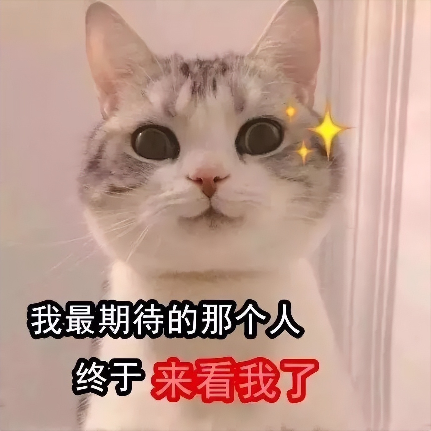 维权必备这些电话存起来,现在的维权电话到底管用吗