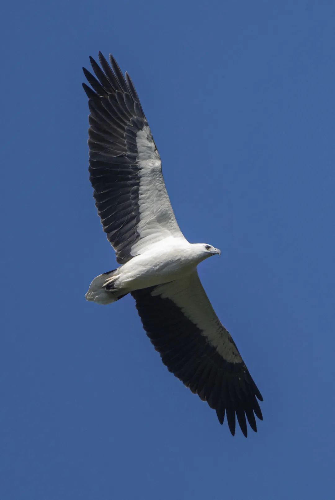 摄影师于海童​：尼康Z9基本满足了我在照片与视频领域的所有需求