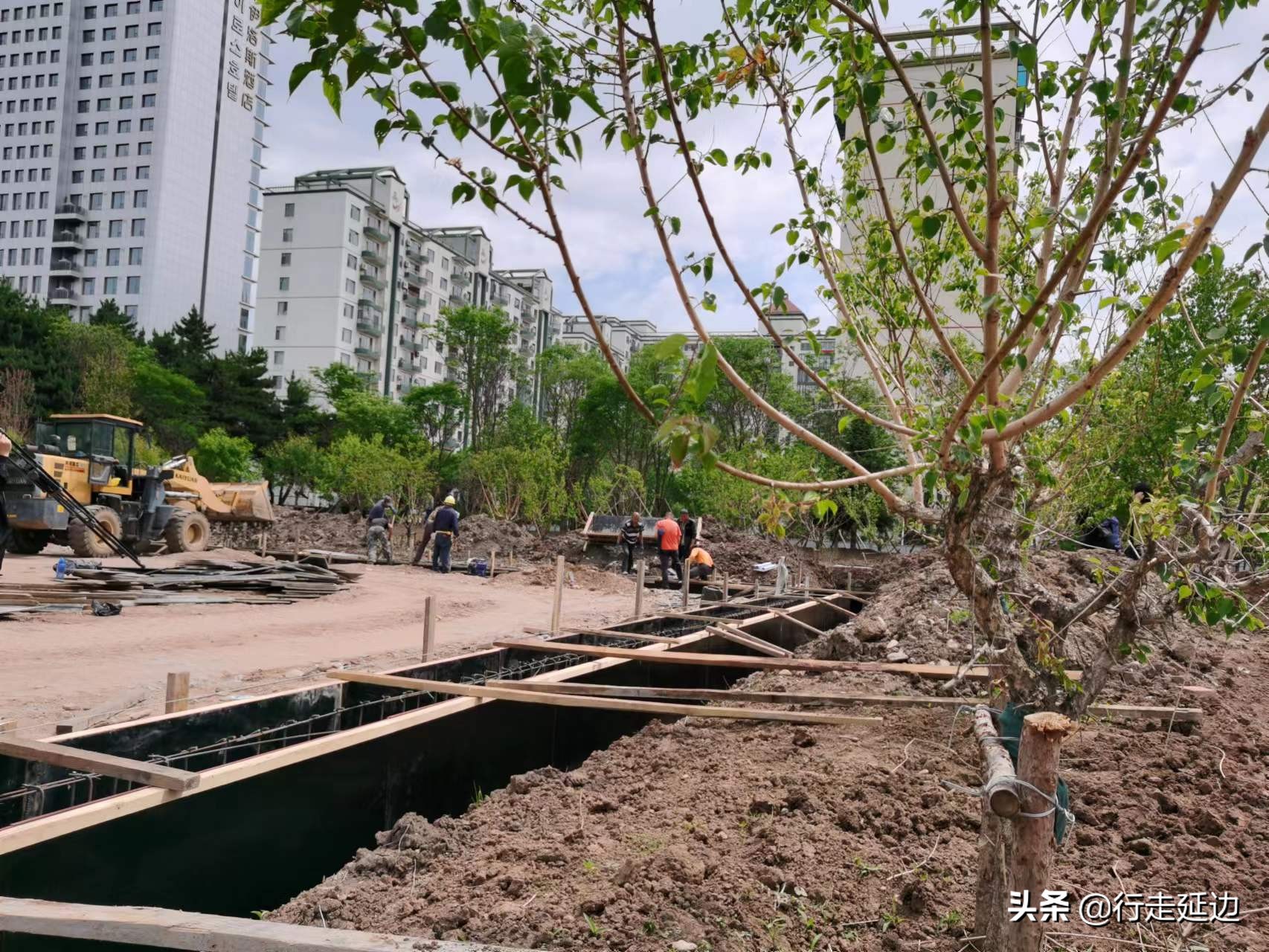 延边州70周年州庆直播观后感,延边州州庆70周年宣传视频