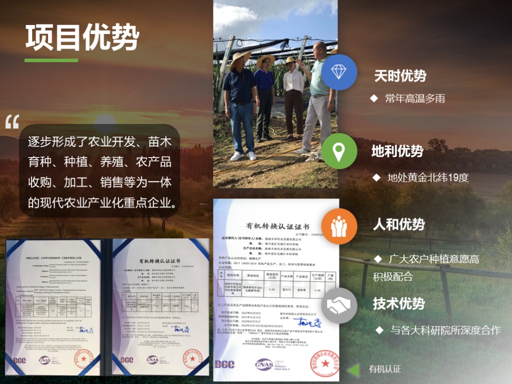 创业大赛ppt教程,创业大赛ppt如何设计