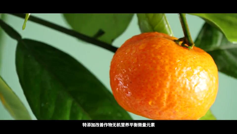 五洲丰农业科技有限公司简介,五洲丰农业科技有限公司产品