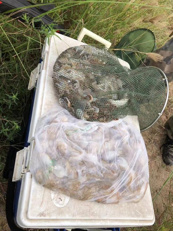 渤海海钓推荐,海钓体验游玩攻略