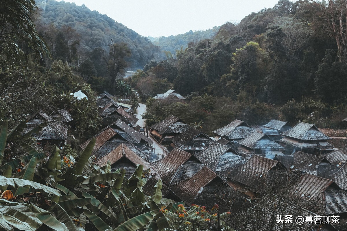 喝普洱茶的讲究有哪些方面,为什么越来越多人喜欢喝普洱茶
