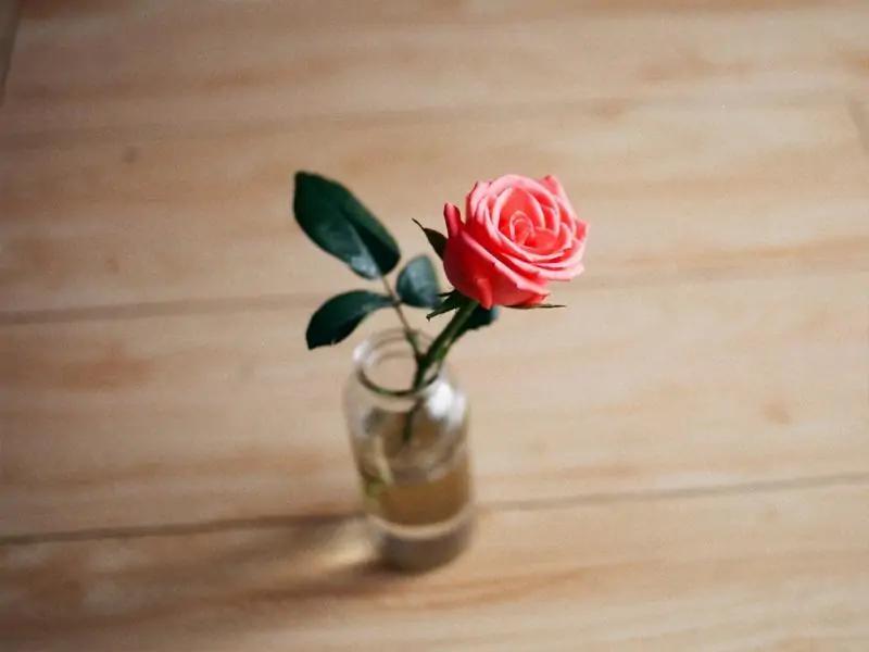 不开心的事也要有良好的心态,不开心时做什么事能让心情变好