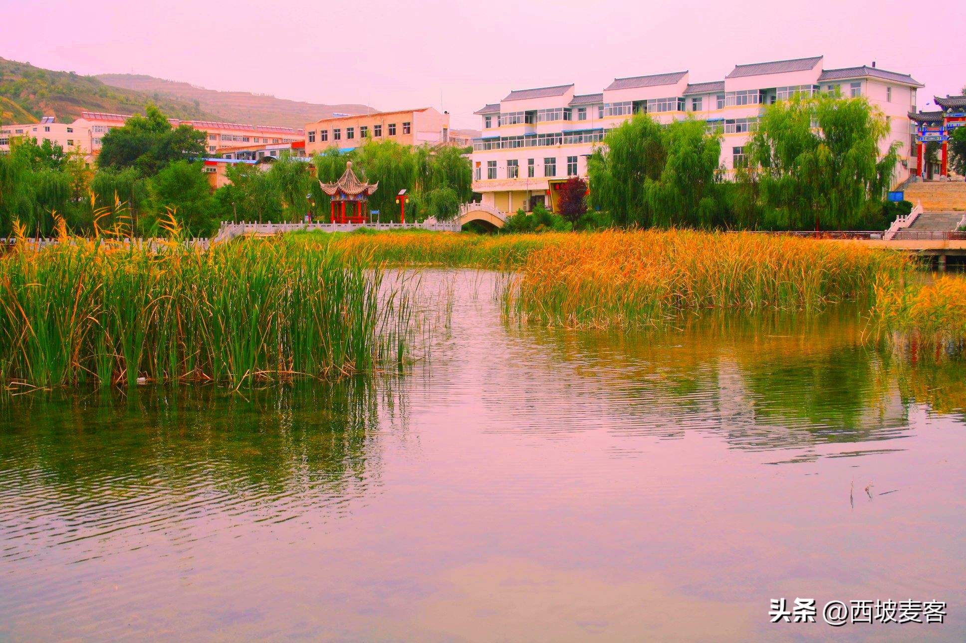 论述辛亥革命的历史意义及局限性,辛亥革命的意义和局限性