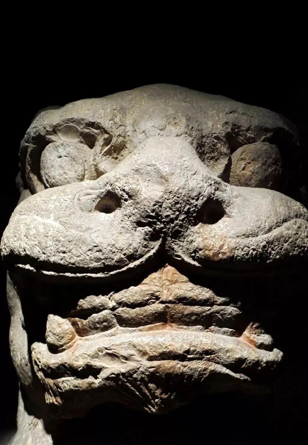 俗话说门前有三冲指的是什么,俗语家中放三物