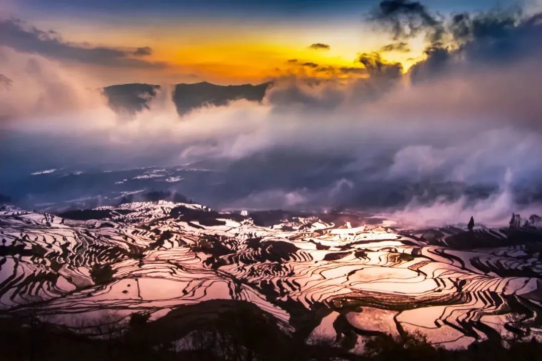 2022花海盛开,2022春季花海