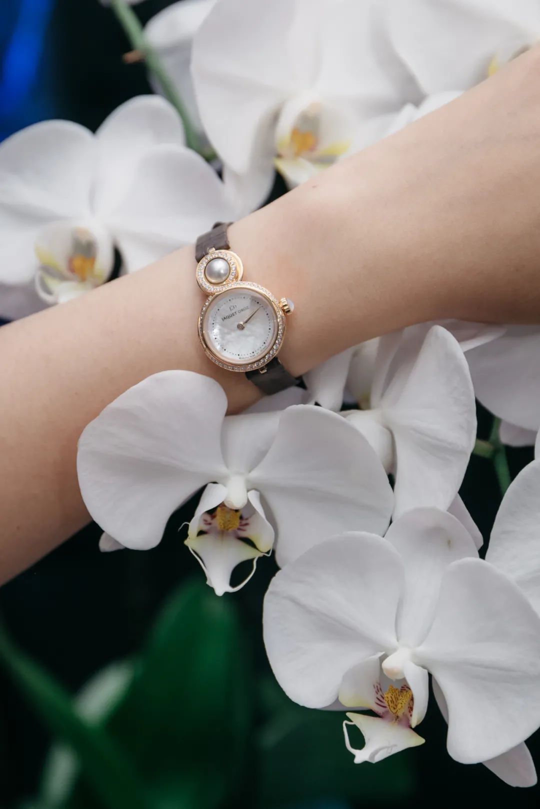 顶级收藏家的藏品,雅克德罗收藏