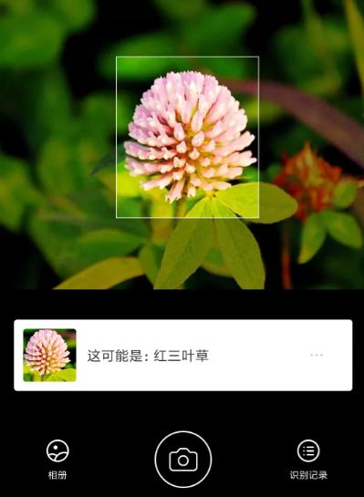小米miui都有哪些新玩法,小米手机的miui系统功能大全