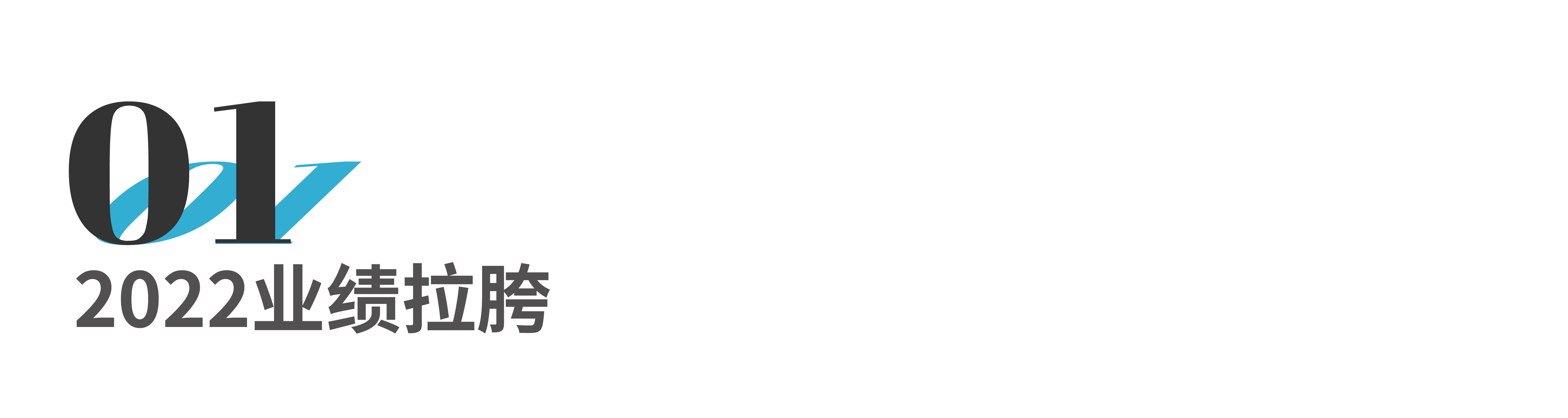 业绩落后剖析,业绩衰退原因