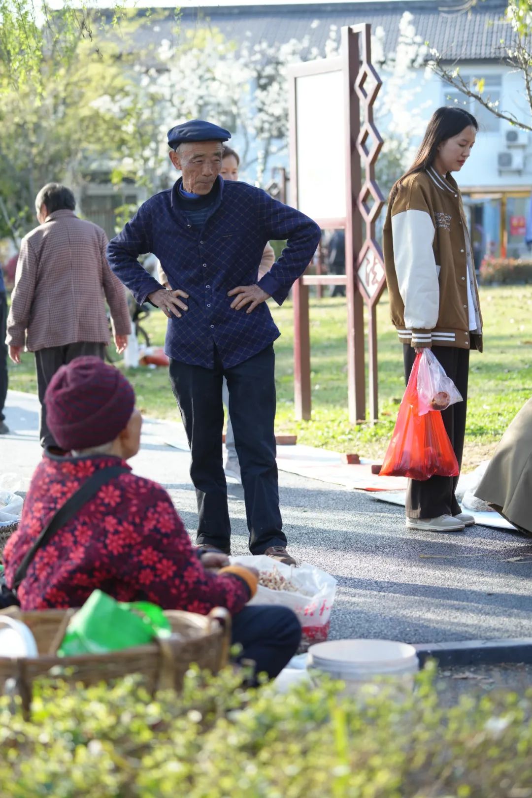 成都市区现实版桃花源记在哪里,成都公交可达的古镇