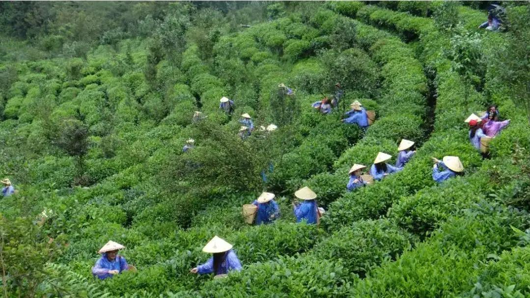 五一人少川西小众旅游地,南方五一2-3天小众旅游