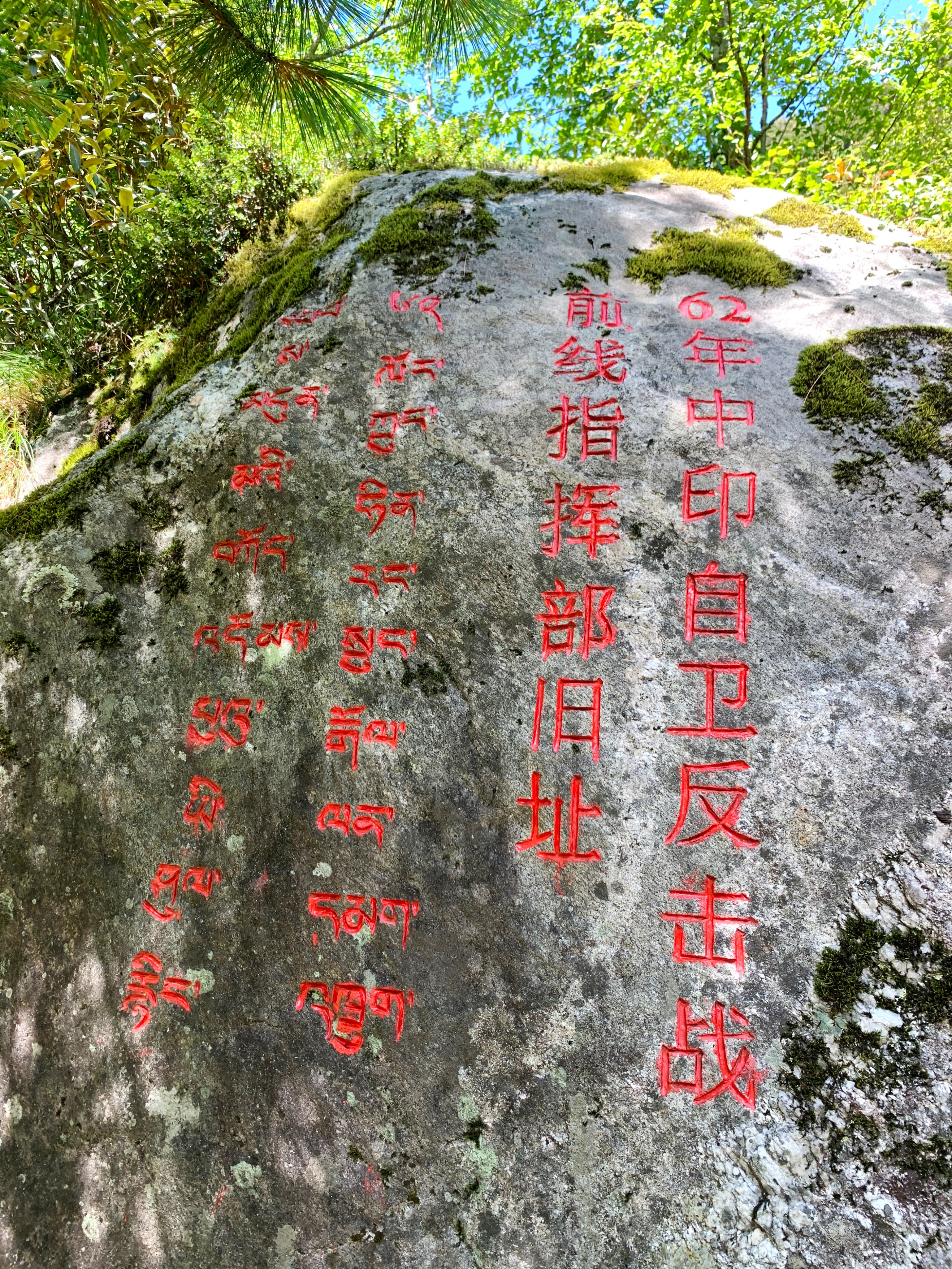 云南最高海拔的茶叶,海拔最高的茶叶产地在哪里