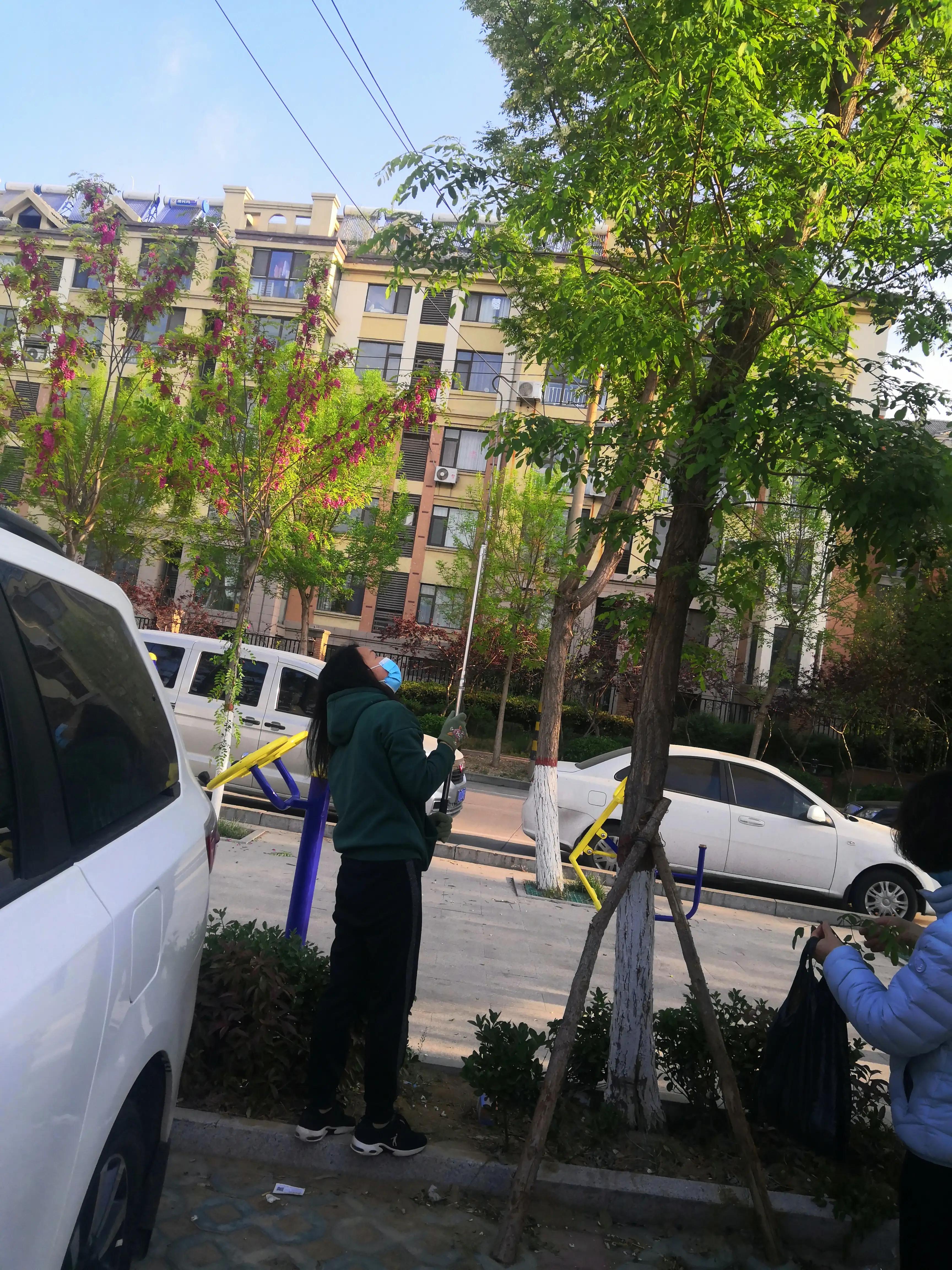 怎么做钩子钩槐花,现在有槐花了烙槐花饼子怎么烙