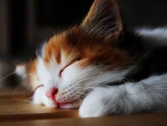 为什么控制饮食加锻炼还没瘦,为啥控制饮食加运动体重没瘦