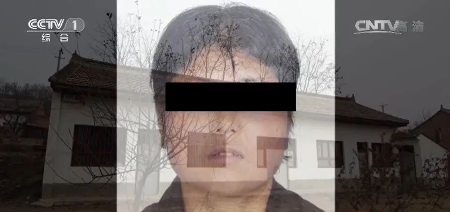 独居女子被杀后续,独居寡妇的真实事件