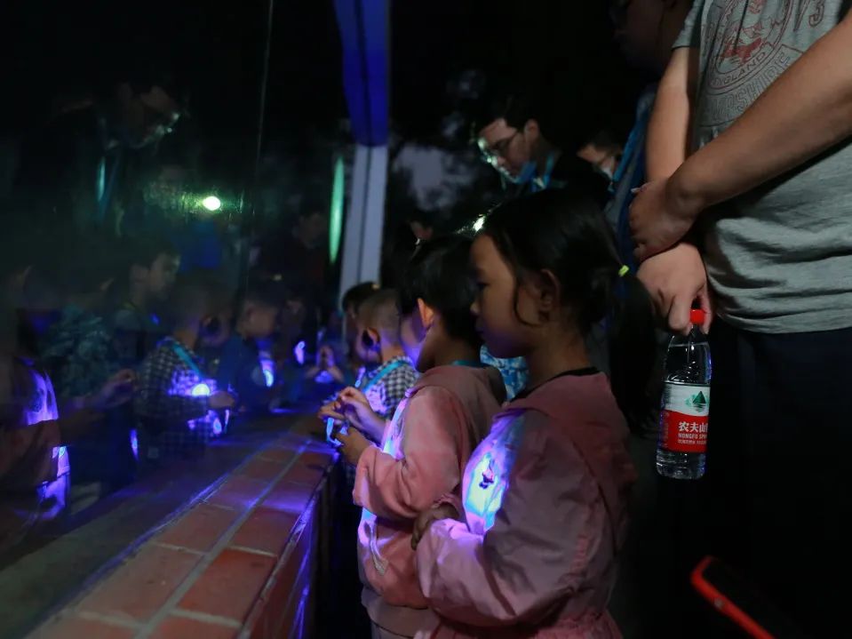 上海沉浸式夜游公园,上海森林公园夜游