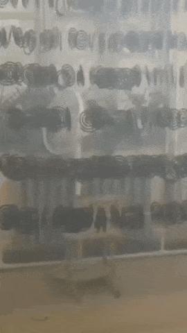 广东人的灭蚊术,阎王见了也发怵