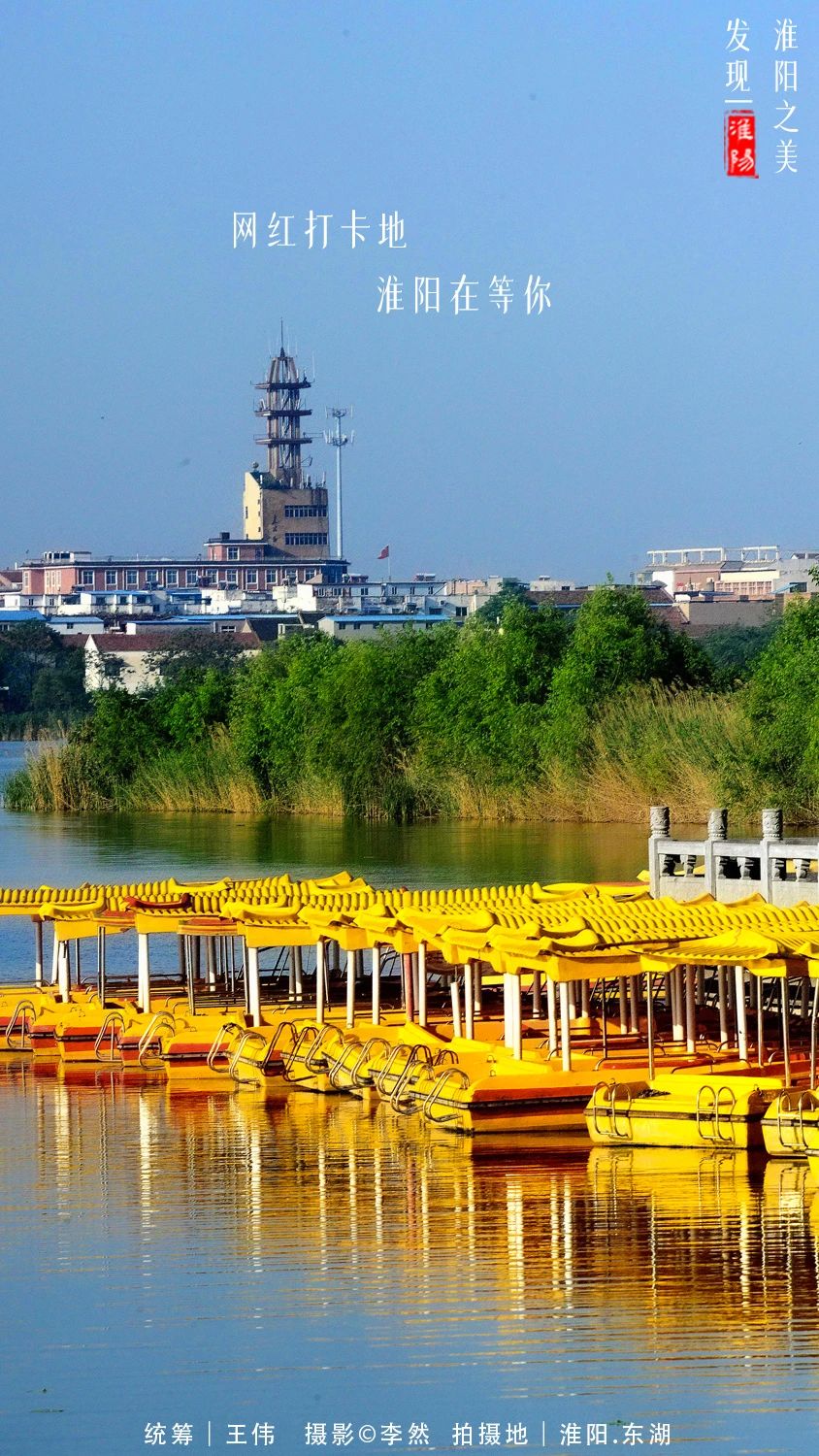 河南周口淮阳荷花节开幕会在哪里,周口淮阳荷花节开始了吗