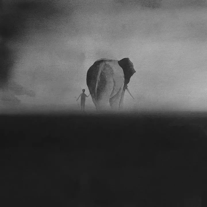 东方美学的中国画神韵,东方水墨画