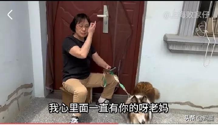 上海败家仔拿下贵州女友,上海败家仔拿下贵州女朋友