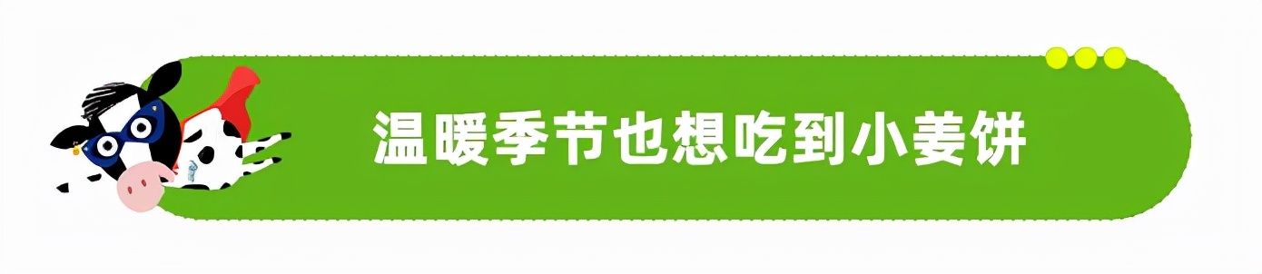 一年一度小姜饼回归，荷兰人的快乐回来了