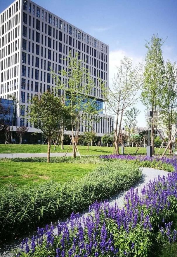 四川硬核高校,星空浩瀚无比探索无止境特别节目