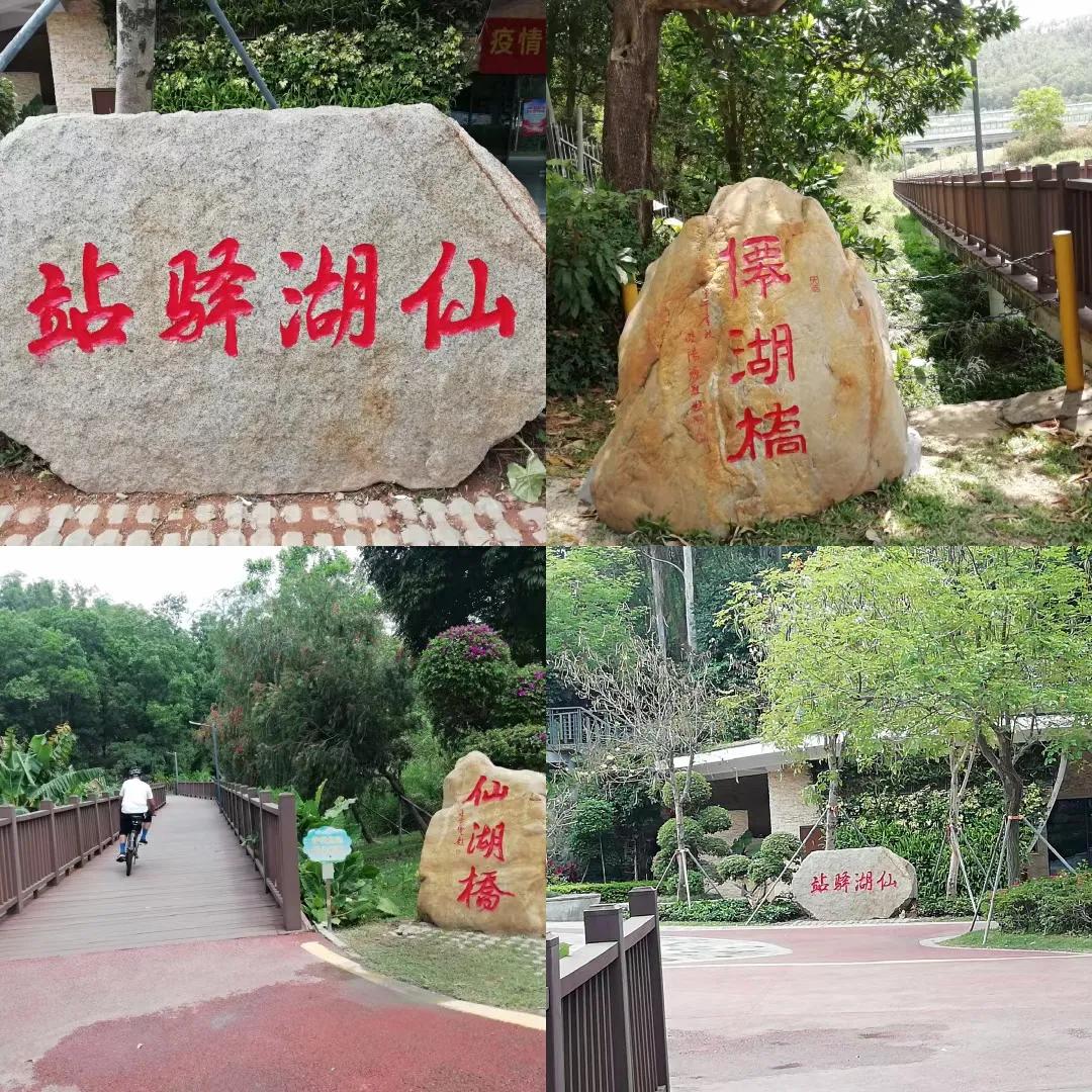 梧桐绿道东湖公园徒步,深圳梧桐绿道步行攻略