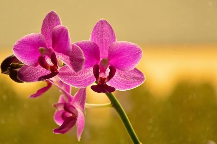 男人眼中，不在这两件事上低头的女人，很高贵