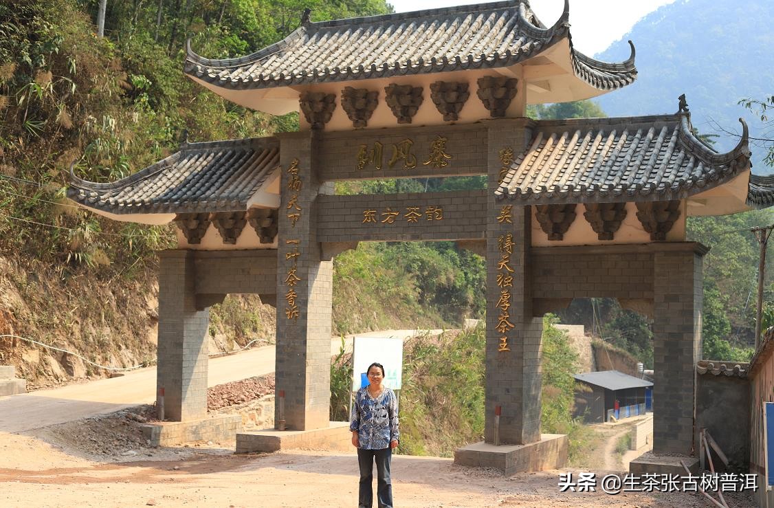 老茶客喜欢红茶吗,易武普洱生茶老茶的特点