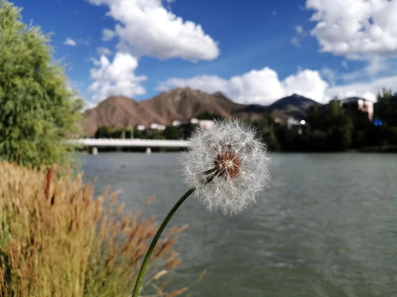 第一次去拉萨旅游攻略,第一次去拉萨话题