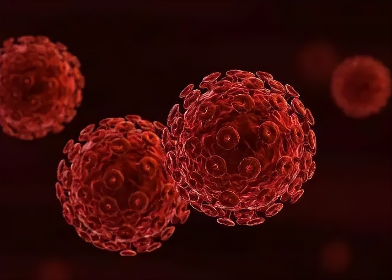 皮肤念珠菌病是什么症状,皮肤念珠菌病传染吗