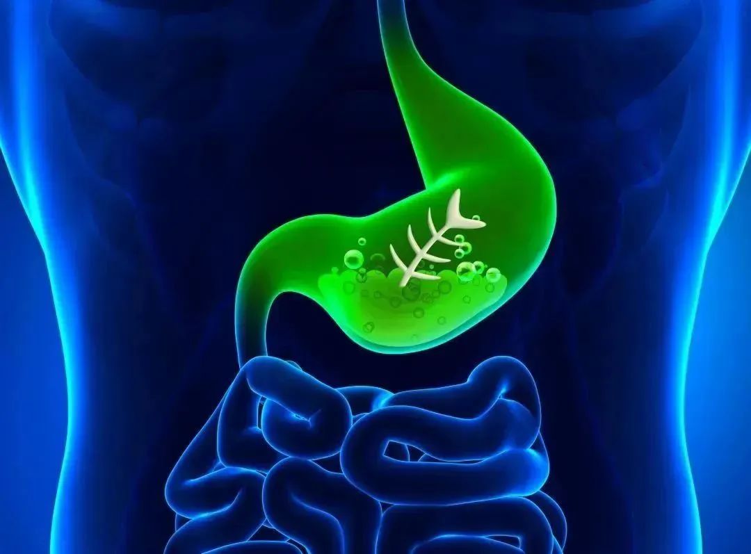 胃胀肚子咕咕叫警惕四种病,凌晨肚子咕咕叫警惕四种病