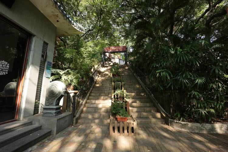 赏城中美景，品厦门味道。城市中心C位酒店，毗邻植物园、中山路