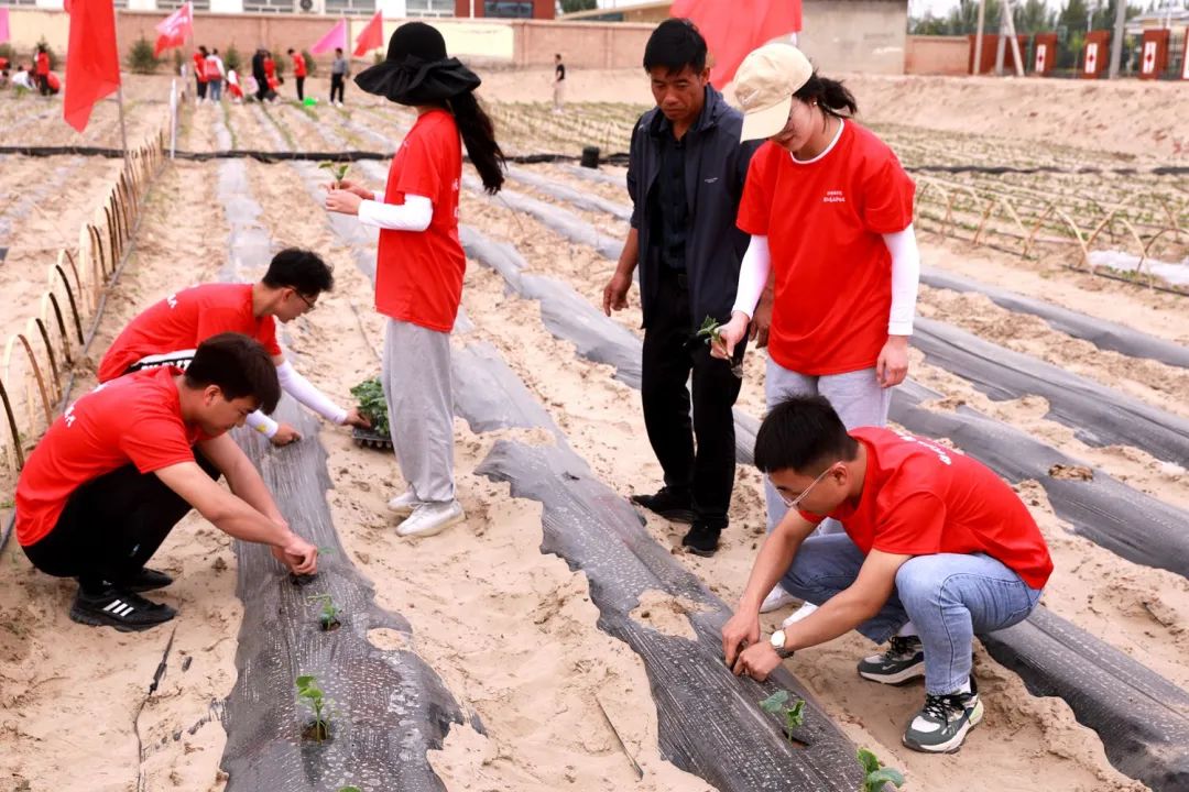 银川科技学院2021征集志愿三次,银川科技学院2023年征集志愿