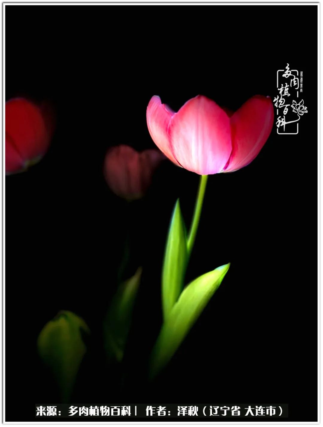 四季轮回之秋天,四季轮回之冬季