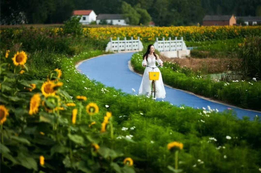香草伊甸园景区最佳花开期,转发此文