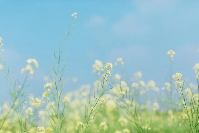 告别2021迎接2022新年的祝福,送走2021迎来2022祝福文案