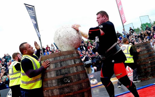 大z在大力士界的地位,大力士大z和布莱恩