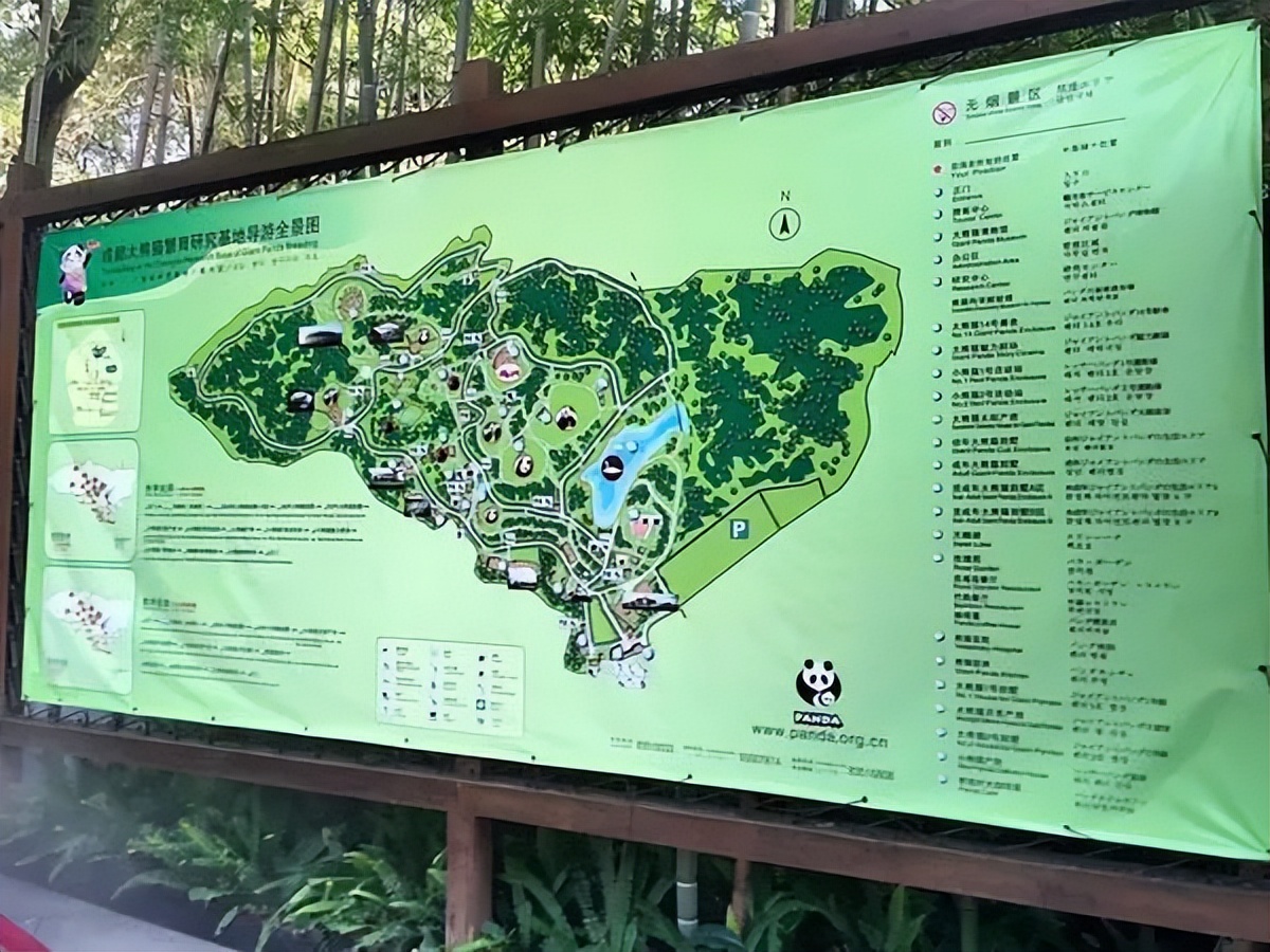 成都到青岛自驾游住宿攻略,成都旅游住宿攻略及费用