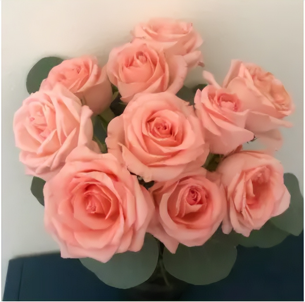 脱单寓意的花语,给脱单闺蜜送什么花语好