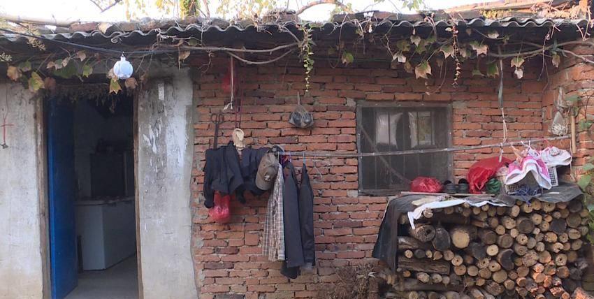 独守荒山17载，倔强姐与土鸡为伴